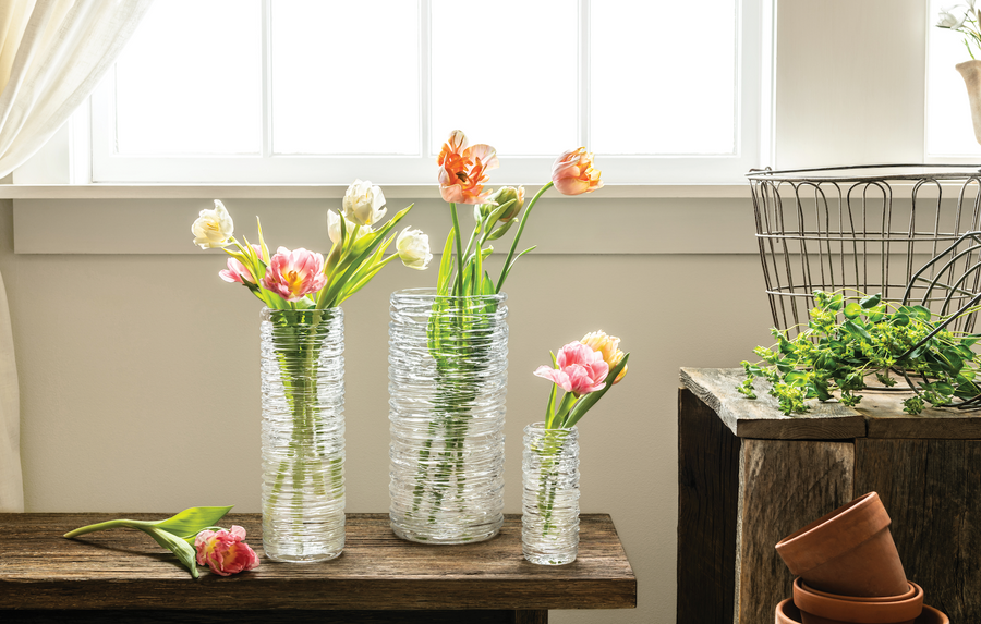 3 clear tall vases lined in a row with colorful fresh tulips in each. 