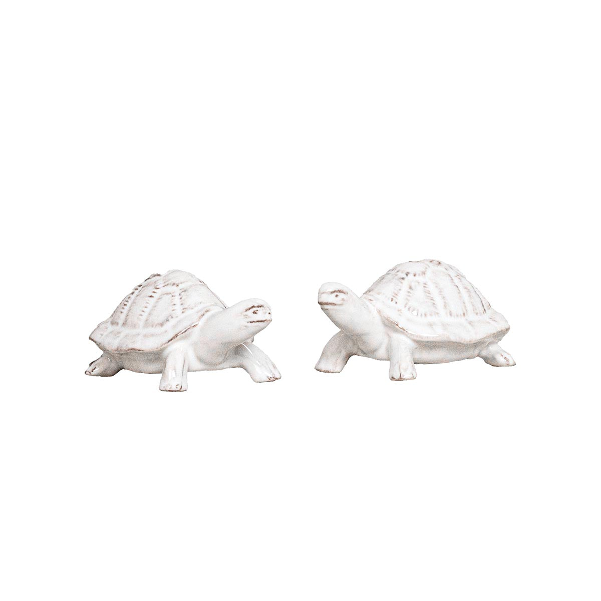 Clever Creatures Turtle Salt and Pepper