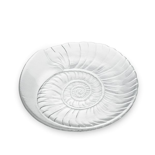 Shell Platter, Large