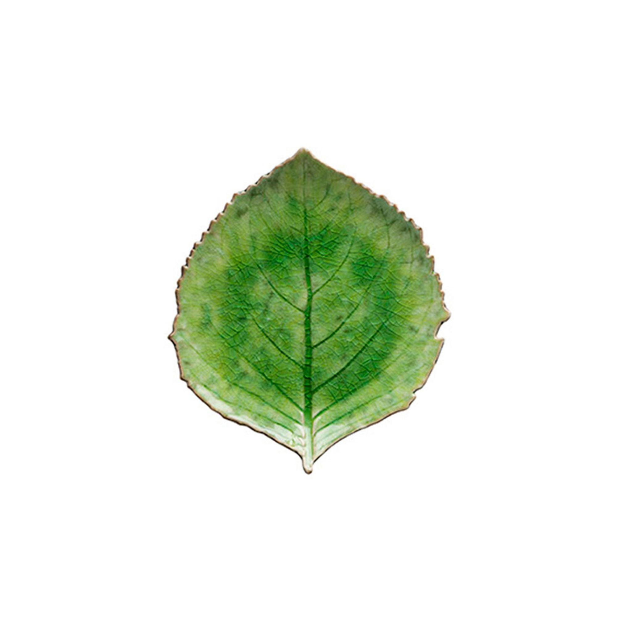 Riviera Hydrangea Leaf 9" Tomate